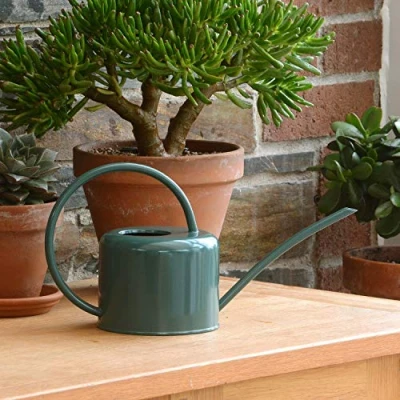 Afbeelding van CKB LTD Gieters Gieter Retro Gietertje Kleine voor Binnen en Buiten 1 liter Groen plantengieter tuingieter bloemengieter mini klein metaal binnenplantjes gietertjes tuingieters vintage kamerplanten buitengieter binnenshuis