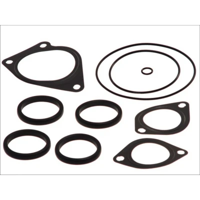 Afbeelding van Dt Spare Parts Pakkingset 2.91534