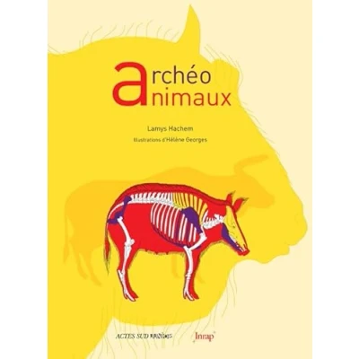Afbeelding van Archeo animaux