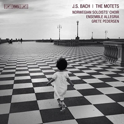 Afbeelding van Norwegian Soloists&#039; Choir, Ensemble Allegria, Grete Pedersen J.S.Bach: The Motets (Super Audio CD)