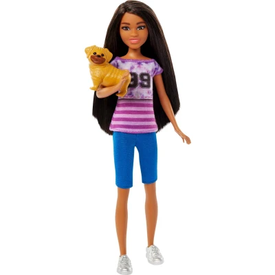 Afbeelding van Barbie &amp; Stacie to The Rescue Modepop