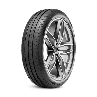 Afbeelding van Radar Dimax ECO 195/55 R20 95H personenwagen Zomerbanden Banden RENAULT: Scénic IV, GRAND SCENIC 4 RASYCN0130