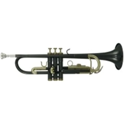 Image de Roy Benson Student Series Trompette en Sib TR 101K anthracite