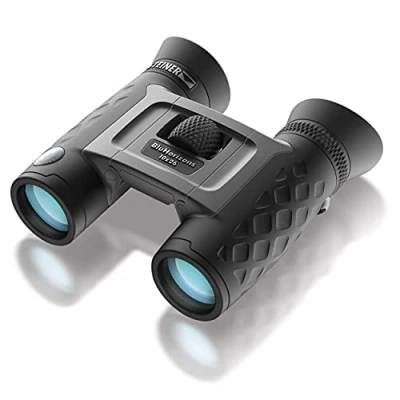 Image de Steiner BluHorizons 10x26