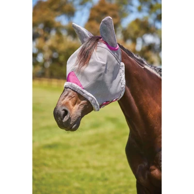 Afbeelding van WeatherBeeta ComFiTec Masque en maille durable avec oreilles Gris/violet