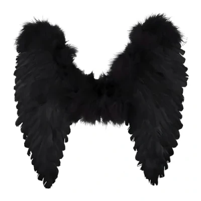 Afbeelding van Boland CAT017 Engelenvleugels, zwart (50 x 50 cm)