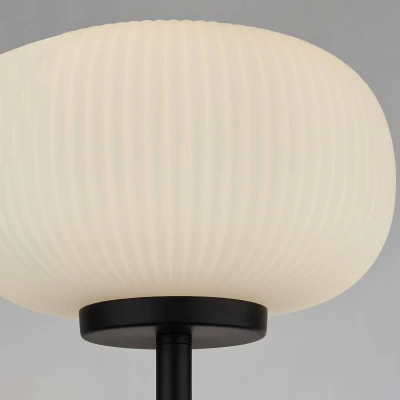Afbeelding van Vloerlamp Lumina met glazen kap