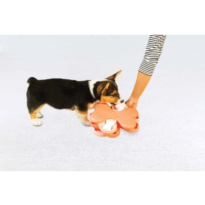 Afbeelding van Nina Ottosson puppyspel puppy tornado, roze
