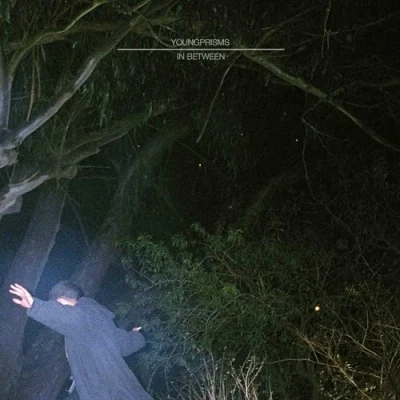 Afbeelding van Young Prisms In Between (LP)