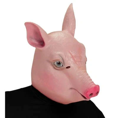Afbeelding van Widmann Varken Kostuum Cartoony Masker, Roze Carnavalskleding Verkleedkleding
