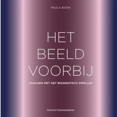 Afbeelding van Het beeld voorbij