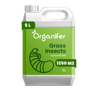 Afbeelding van Organifer Grass Insects Concentraat 5 l voor 1250 m2