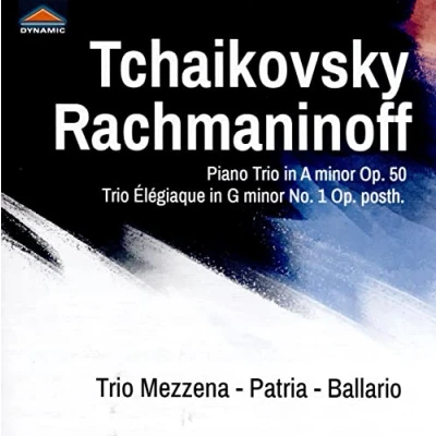 Afbeelding van Trio Mezzena Piano In A Minor Op.50 (CD)