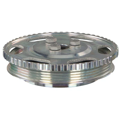 Afbeelding van Febi Bilstein Krukaspoelie / torsiedemper 44816