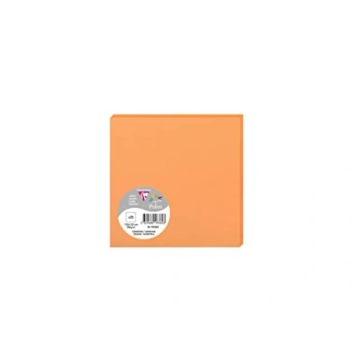 Image de Paquet de 25 cartes simples Pollen 135x135mm Clémentine 210g