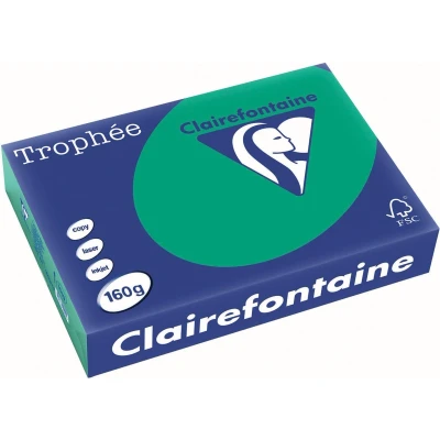 Afbeelding van Clairefontaine Trophée Intens, gekleurd papier, A4, 160 g, 250 vel, dennengroen papier