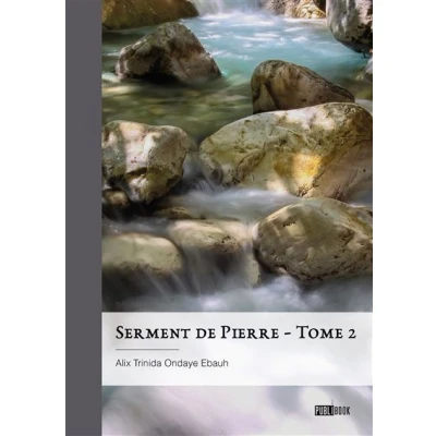 Image de Serment de Pierre tome 2