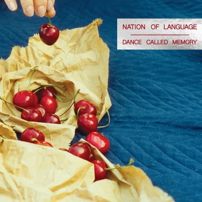 Afbeelding van Nation Of Language Dance Called Memory (CD)