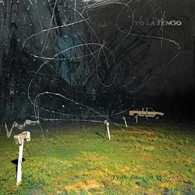 Afbeelding van Yo La Tengo This Stupid World (2 LPs)