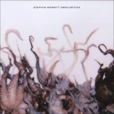 Afbeelding van Stephin Merritt Obscurities (CD)