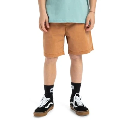 Afbeelding van Quiksilver Shorts voor kinderen, Maat: 152, Bran