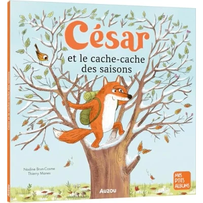 Afbeelding van César et le cache des saisons