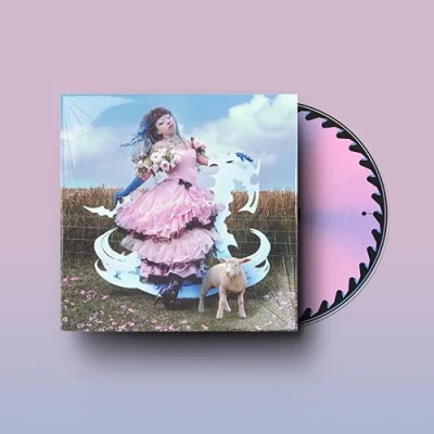 Afbeelding van Jazmin Bean Traumatic Livelihood (CD)