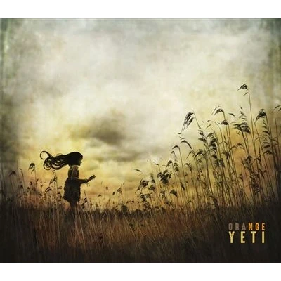 Afbeelding van Orange Yeti (CD)