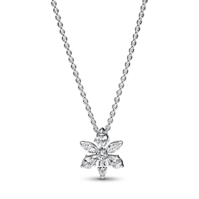 Afbeelding van Pandora Timeless 925 Sterling Silver Sparkling Herbarium Cluster Pendant Necklace 392387C01 45