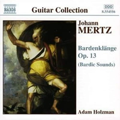 Afbeelding van Adam Holzman Bardenklange (Bardic Sounds) (CD)