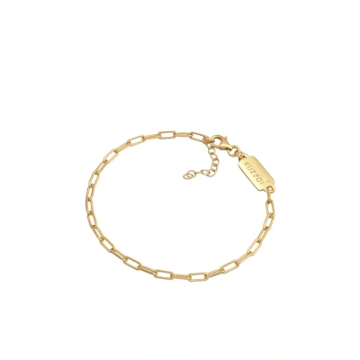 Afbeelding van Kuzzoi Basic Chain LOOK Armband goldcoloured, Heren, Maat: 19, Gold coloured
