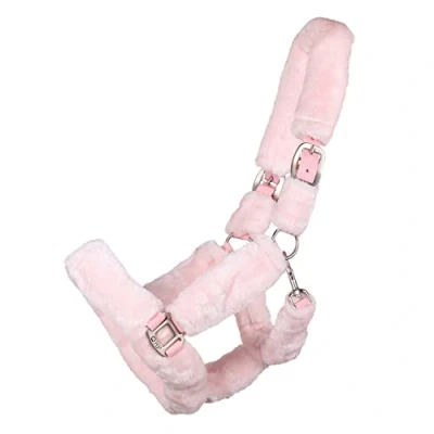 Image de QHP Halter Alaska