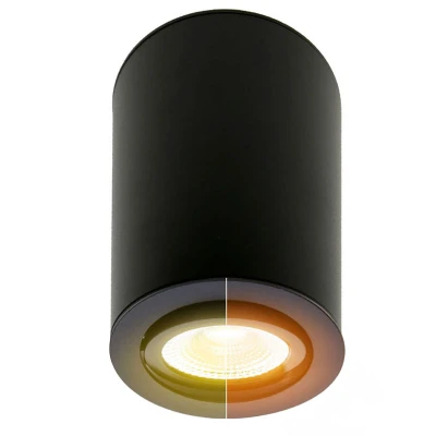Afbeelding van Led opbouwspot dim to warm, rond, Ø90x134mm, zwart