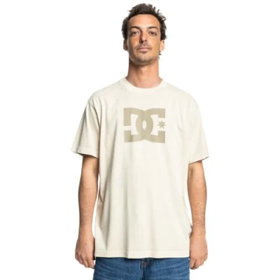 Afbeelding van DC Shoes Pigment DYE HSS Tshirt print, Heren, Maat: Small, Sgbw pelican enzyme wash
