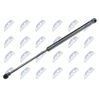 Afbeelding van NTY AE DW 013 Gasveer achterklep 350 406