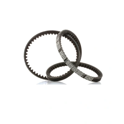 Afbeelding van Gates V riem 6221MC