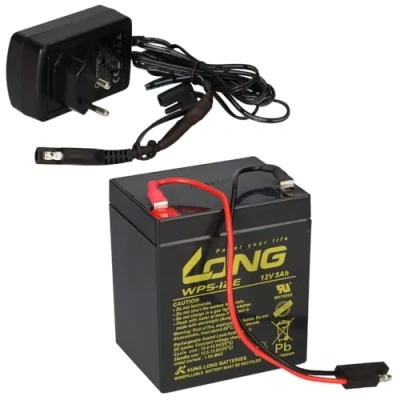 Afbeelding van Kung Long loodaccu 12 V 5 Ah met stekker + oplader voor grasmaaier accu