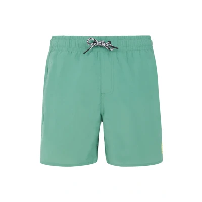 Afbeelding van Protest CULTURE JR Zwembroek Jongens Frosty Green