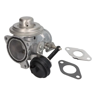 Afbeelding van Wahler EGR klep 7283D