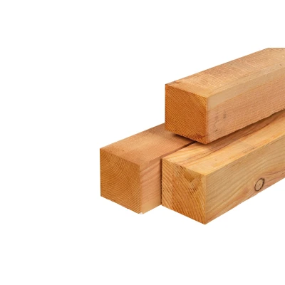Afbeelding van Lariks/douglas Palen Onbehandeld (Vers Hout) 12x12x300 cm