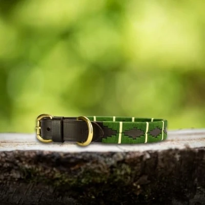 Afbeelding van Leren halsband met lijn maat M Polo print groen MTB Equestrian