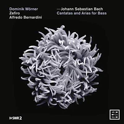 Afbeelding van Dominik Wörner, Zefiro, Alfredo Bernardini J.S. Bach: Cantatas And Arias For Bass (CD)