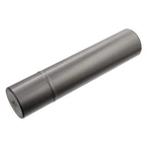 Afbeelding van Febi Bilstein Fuseepen 45047
