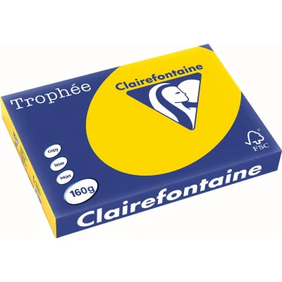 Afbeelding van Clairefontaine Trophée Pastel, Gekleurd Papier, A3, 160 G, 250 Vel, Goudgeel Papier