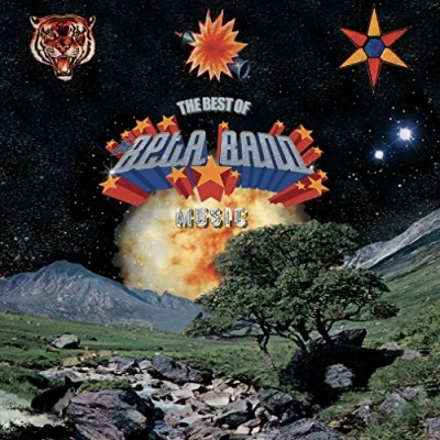 Afbeelding van The Beta Band Best Of (2 CD)