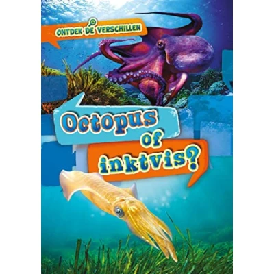 Afbeelding van Ontdek de verschillen Octopus of inktvis?