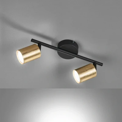 Afbeelding van LED plafondspot Vano bladgoud, 2 lamps