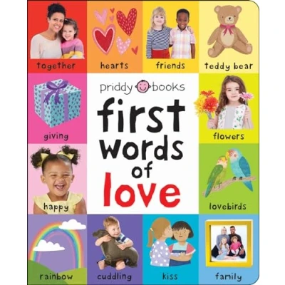 Afbeelding van First 100 Soft To Touch Words Of Love