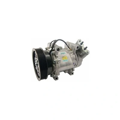 Afbeelding van DELPHI TSP0159277 AC Compressor Sanden SD6V12 PAG 46 Met compressorolie RENAULT: Kangoo I Express