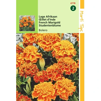 Afbeelding van Tagetes patula nana Bolero Buzzy